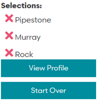 Screenshot showing View Profile button in the BYO tool