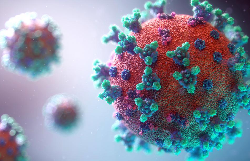 coronavirus close-up