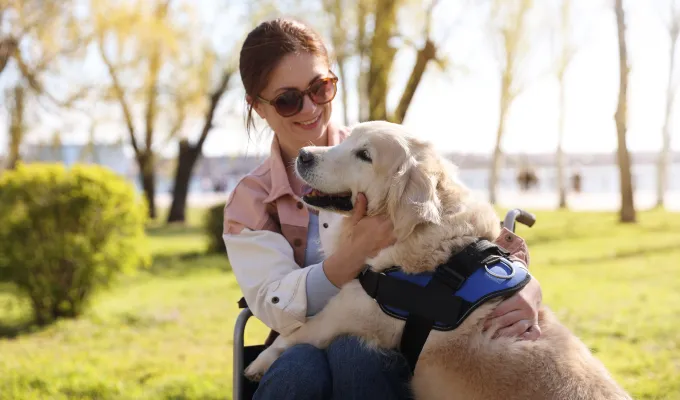 Photo of a woman in a wheelchair, smiling at her dog crawling into her lap