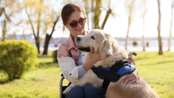 Photo of a woman sitting in a wheelchair, smiling at the service dog on her lap